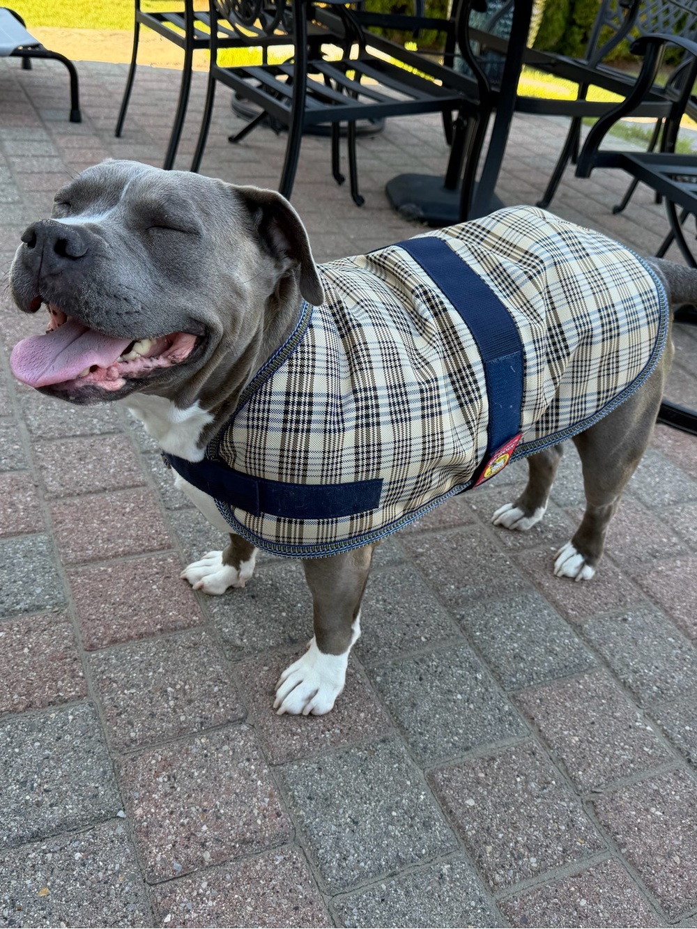 5/A Baker Turnout Dog Coat with Velcro Straps XL 21 Inch
